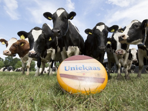 Nieuwe impulsen geven aan AH kaasschap